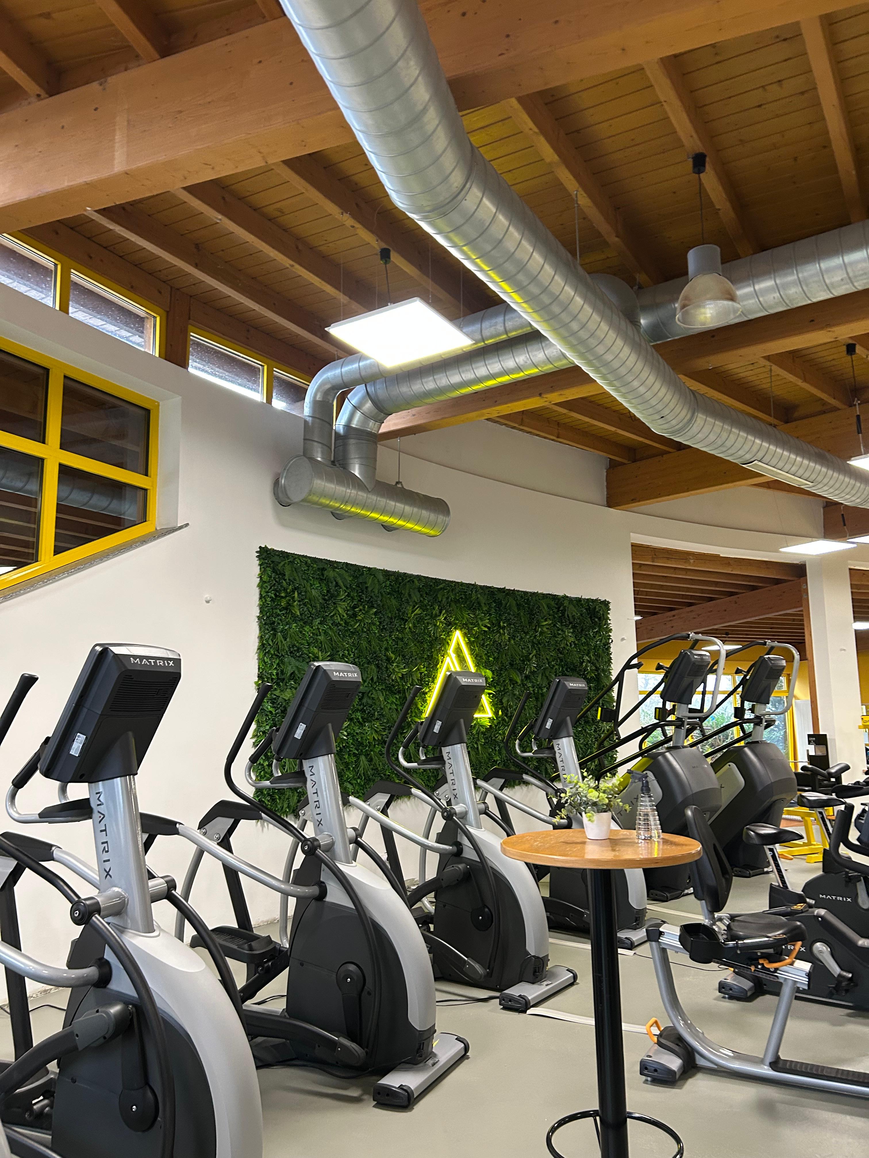 Trainingsfläche FusionFitness Ulmen